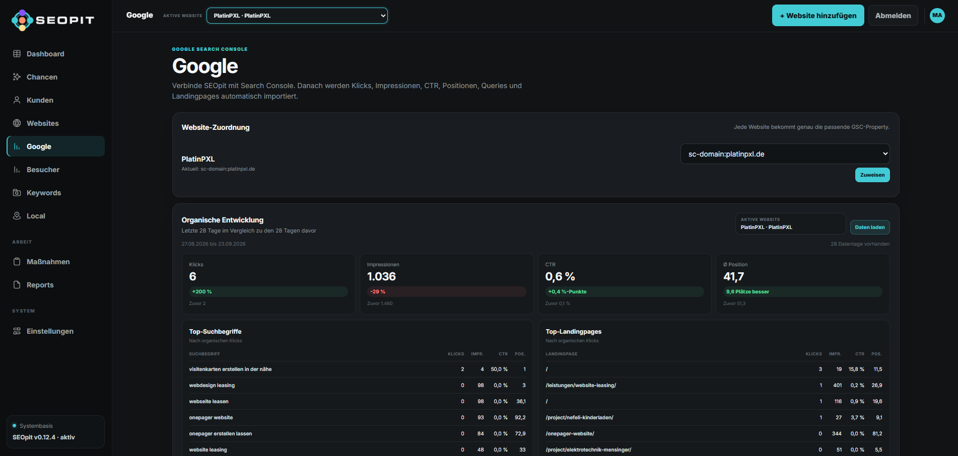 seo cockpit analysen chancen reports